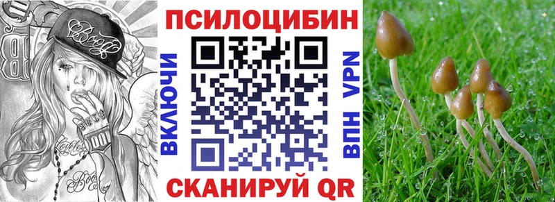 дарнет шоп  omg сайт  Псилоцибиновые грибы Magic Shrooms  Электрогорск 